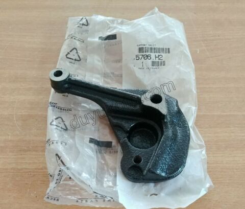 Alternatör Kayış Gergi Ayağı RULMAN P307 ET3 TU5