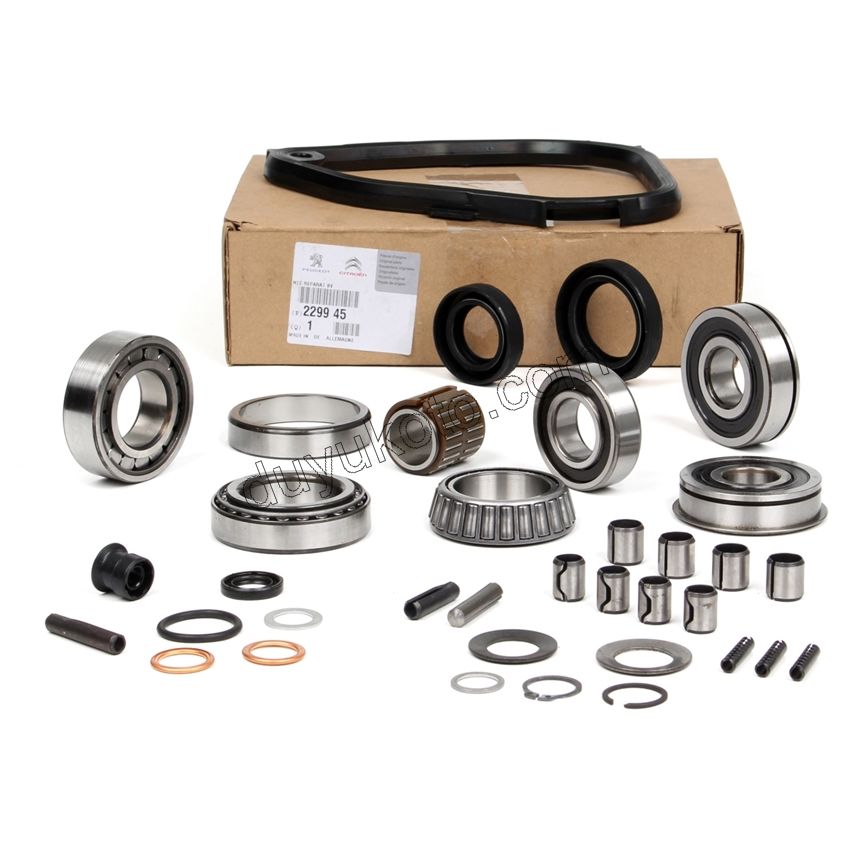 TAMIR TK SANZIMAN CONT+KECE+RUL PBP