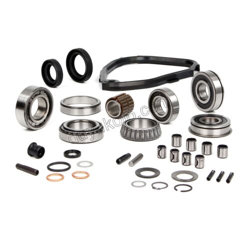 TAMIR TK SANZIMAN CONT+KECE+RUL PBP