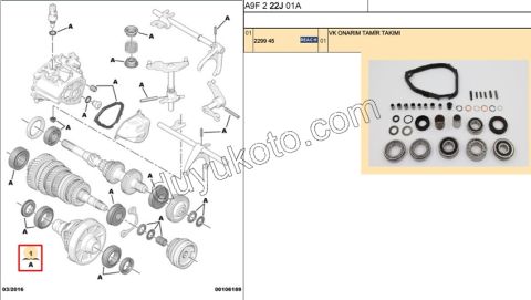 TAMIR TK SANZIMAN CONT+KECE+RUL PBP