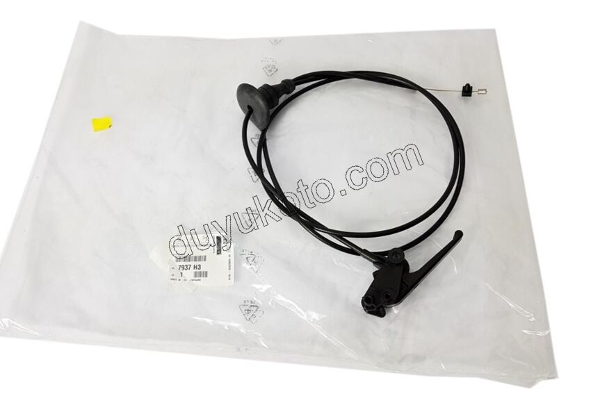 Kaput Açma Kolu ve Teli P3071