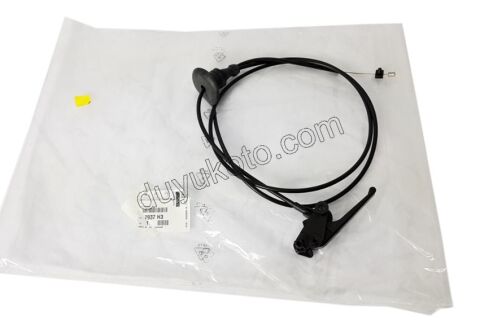 Kaput Açma Kolu ve Teli P3071