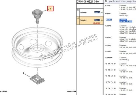 SOMUN STEPNE BAGLANTI P301 P3082 C41