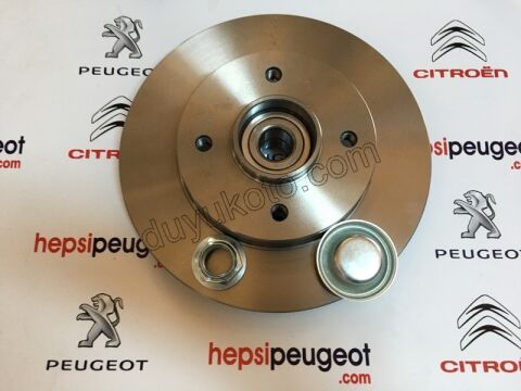 Fren Diski Arka Poryalı Rulmanlı ABS'li P3071 C41