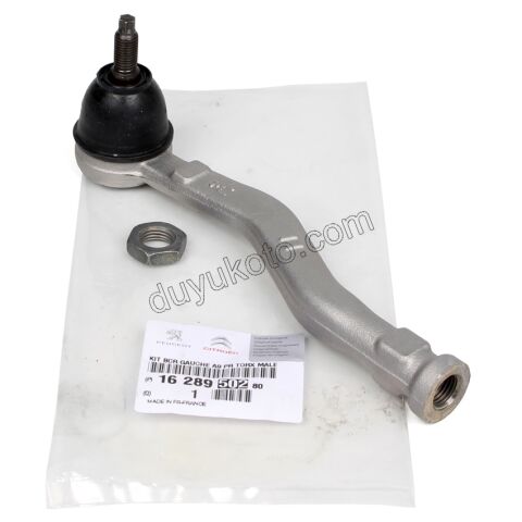 Sol Rot Başı P2081 P20081 CCT