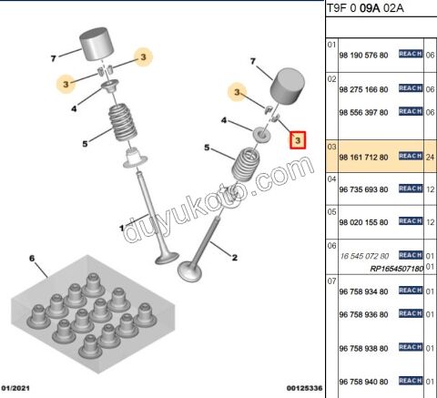 CEKIRDEK SUBAP 1.0CC X 24AD