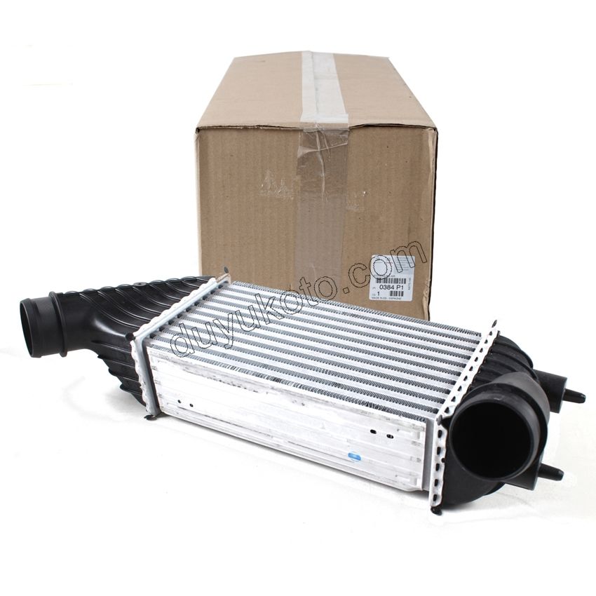 RADYATOR TURBO EXP3 DW10 8V