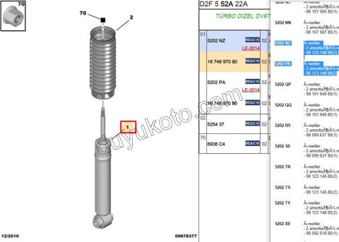 Ön Amortisör P407 P5081 C53 DW12C