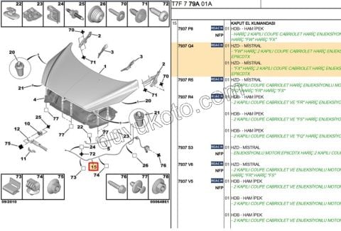 Kaput Açma Kolu ve Teli P3081