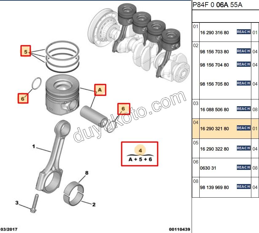 PISTON + SEKMAN STD TK