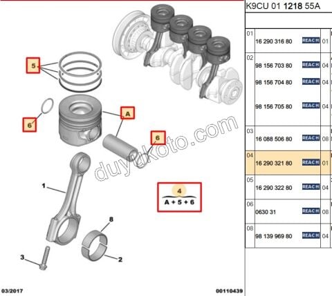 PISTON + SEKMAN STD TK