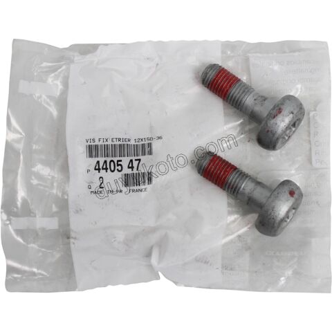 CIVATA ON KALIPER AKSONA SIKILAN