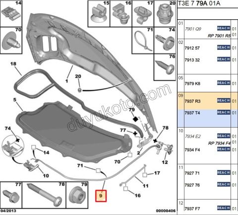 Kaput Açma Kolu ve Teli P206+ PLUS