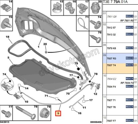 Kaput Açma Kolu ve Teli P206+ PLUS