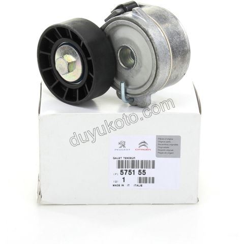 KUTUK RULMAN ALTER GERGI DW10 8V 70MM
