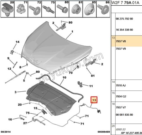 Kaput Açma Kolu ve Teli P5081 ARIES
