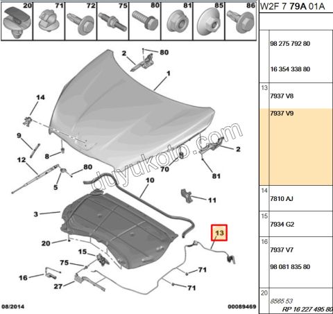 Kaput Açma Kolu ve Teli P5081 KUTUP