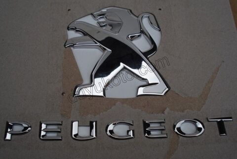 YAZI PEUGEOT + ASLAN PRT4 2P SAG ARKA KAPIDA