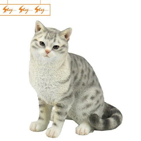 Kedi Severlere Özel
