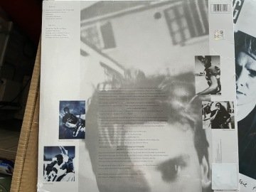 STING - THE DREAM OF THE BLUE TURTLES - 180GR - LP