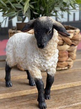 KUZU BİBLO