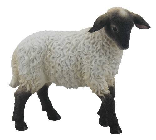 KUZU BİBLO