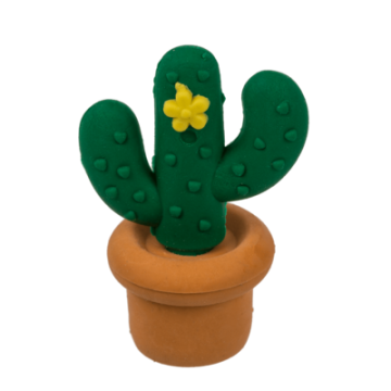 KAKTÜS SİLGİ SETİ - CACTUS ERASER