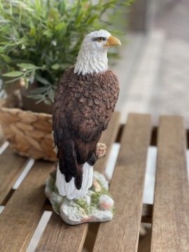 RENKLİ KARTAL BİBLO