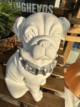BEYAZ KÖPEK BİBLO - BÜYÜK