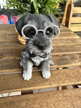 KÖPEK BİBLO - GÖZLÜKLÜ