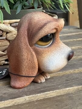KÖPEK BİBLO NO.4