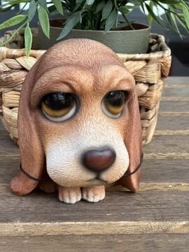 KÖPEK BİBLO NO.4