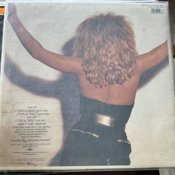 TINA TURNER - TYPICAL MALE - MAXI SINGLE
