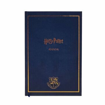 HARRY POTTER AJANDASI 3
