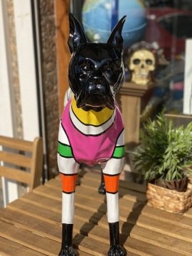 Renkli Köpek Biblosu
