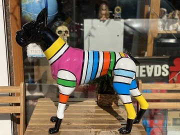 Renkli Köpek Biblosu