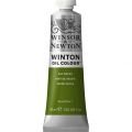 Winton Yağlı Boya 599 Sap Green (37)