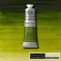 Winton Yağlı Boya 599 Sap Green (37)