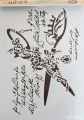 AS534 New Stencil Collection