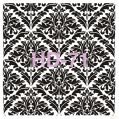 Home Decor Stencil HD-71