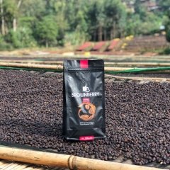 Kahve Etiyopya Djimmah 15 kg