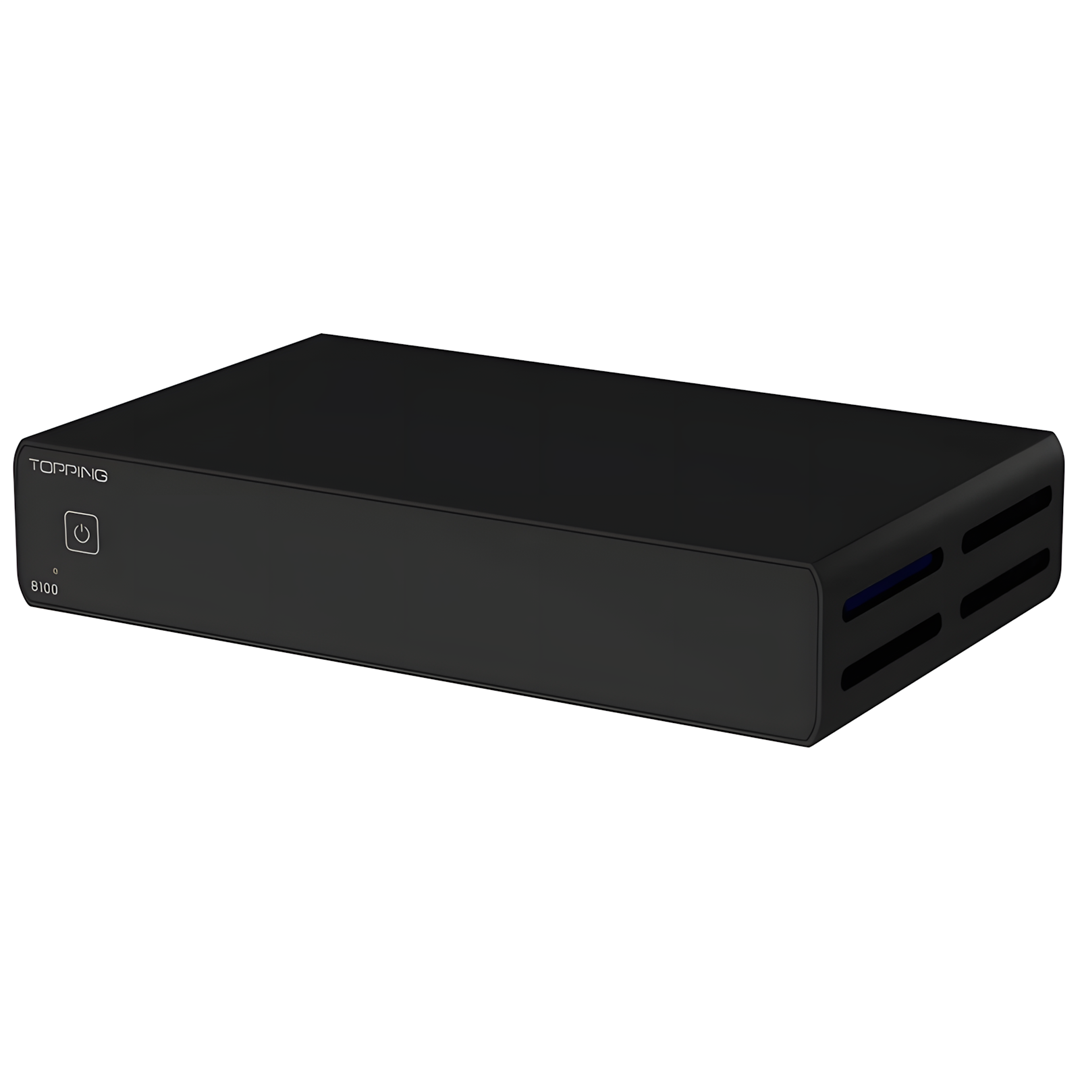 B100 Mono Power Amplifier | Black