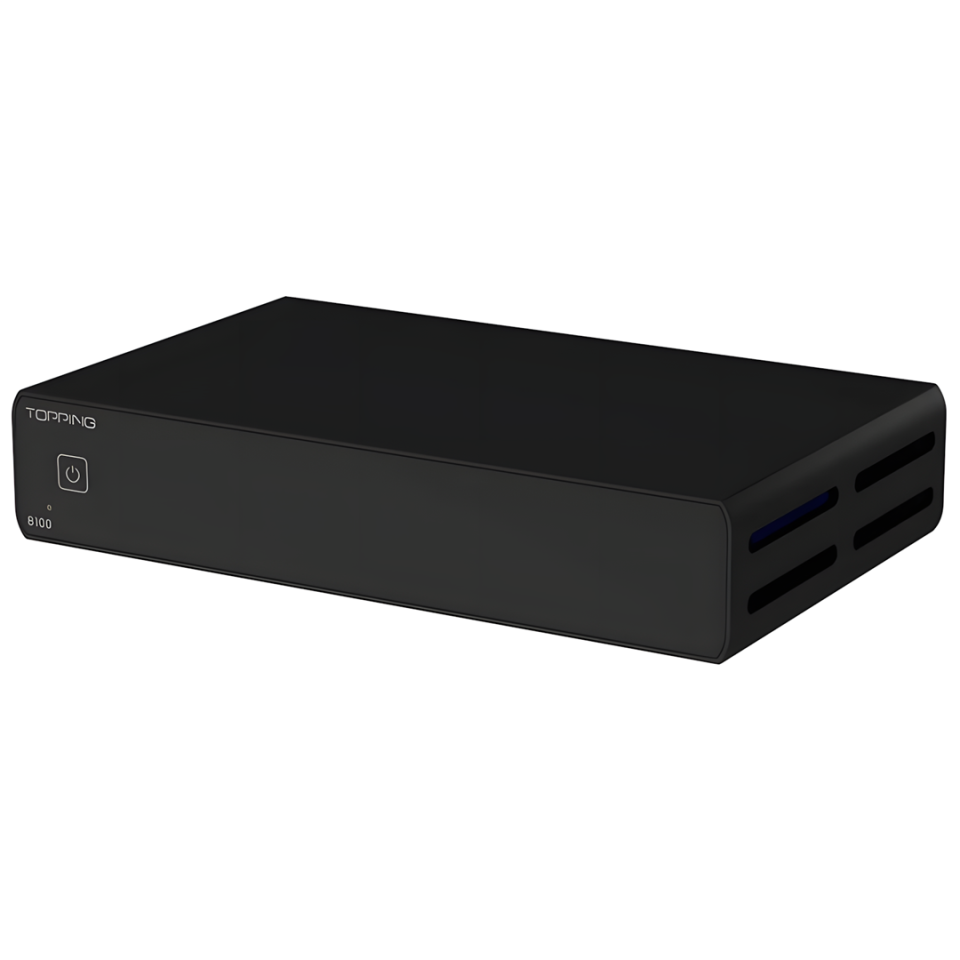 B100 Mono Power Amplifier | Black