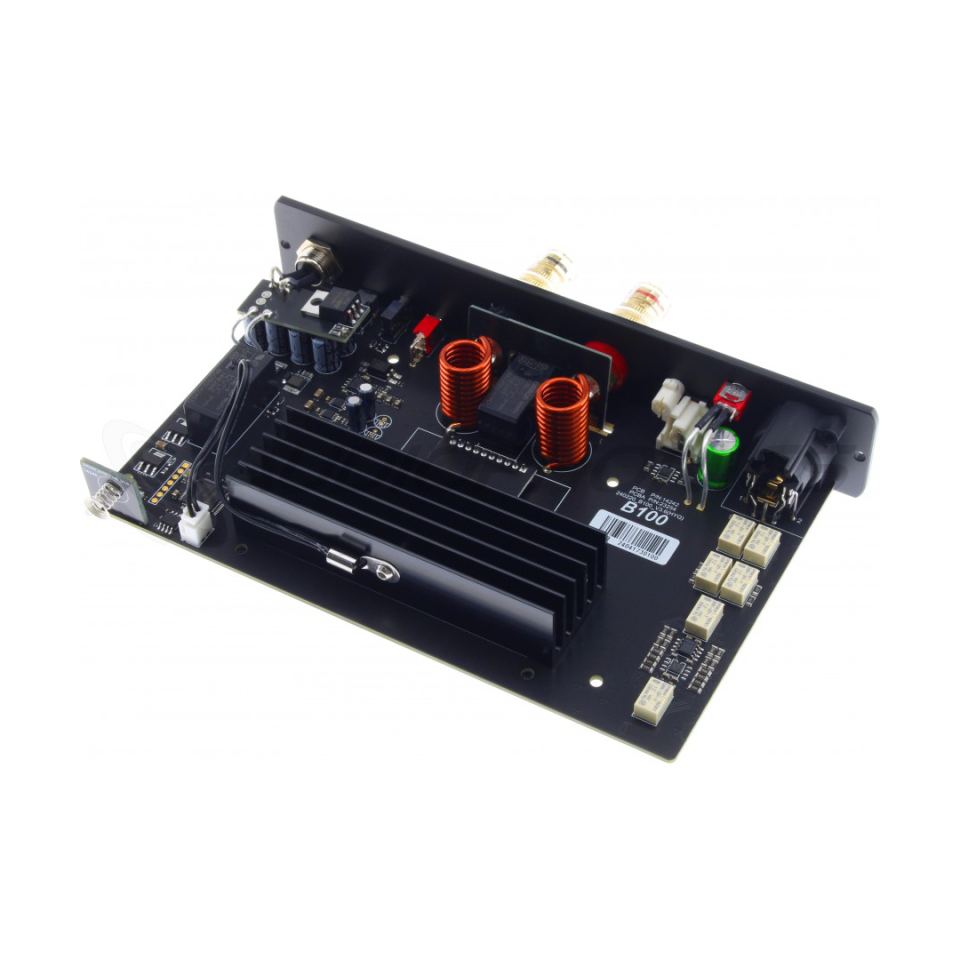 B100 Mono Power Amplifier | Black
