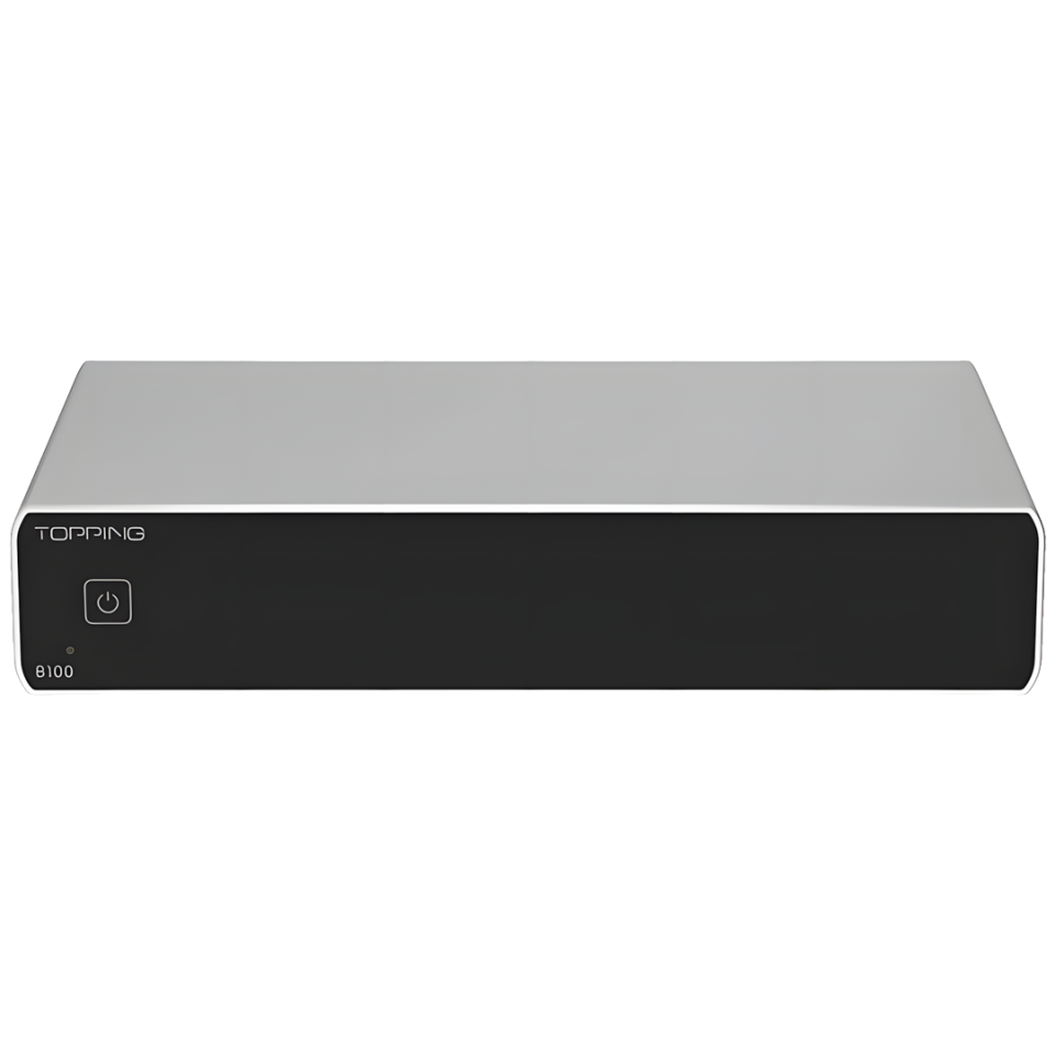B100 Mono Power Amplifier | Silver