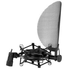 MXL 770 ２本セット & CR21 MXL 770 | Vokal, Enstrüman, Youtuber, Instagram, Tiktok & Podcast