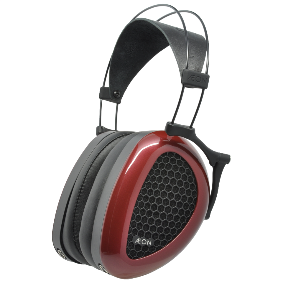 AEON 2 Open Back | 2mt 1/4'' 3.5mm Dummer