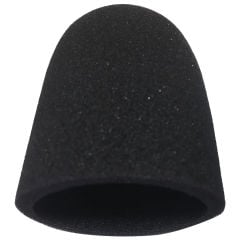 2010 Wind Screen