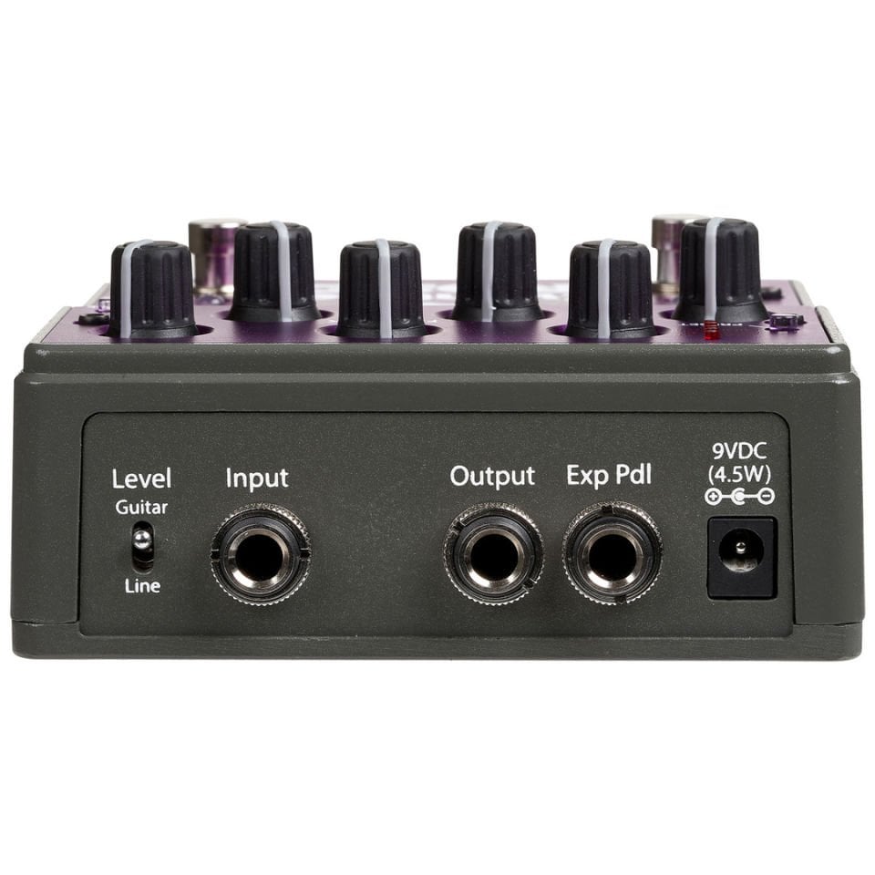 Rose Digital Delay Pedal w/Analog Circuitry