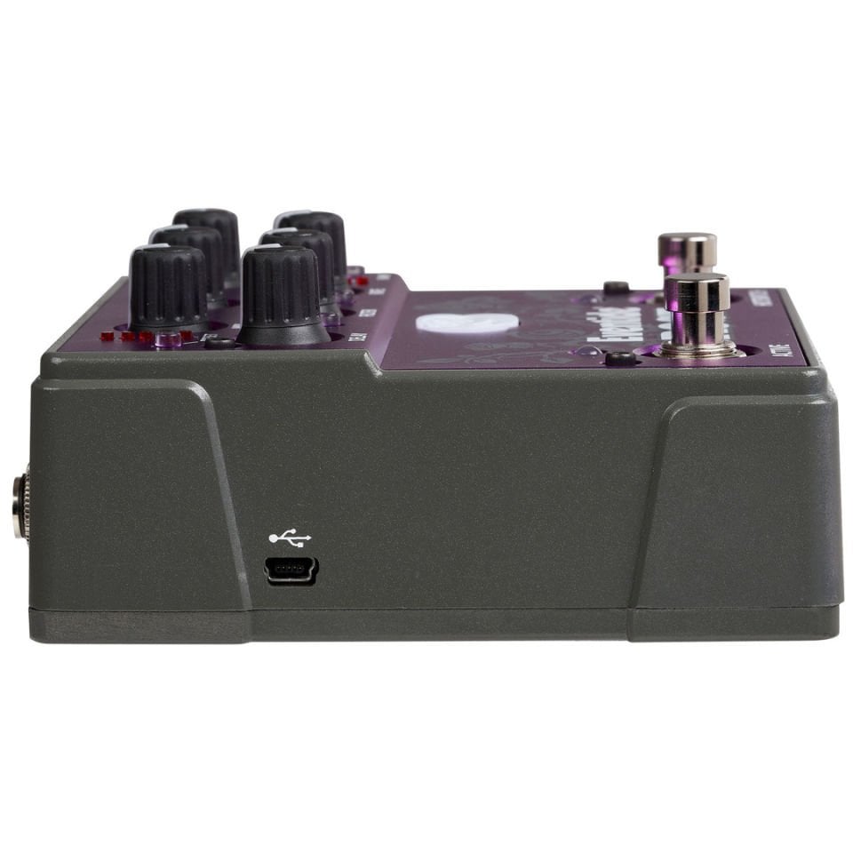 Rose Digital Delay Pedal w/Analog Circuitry